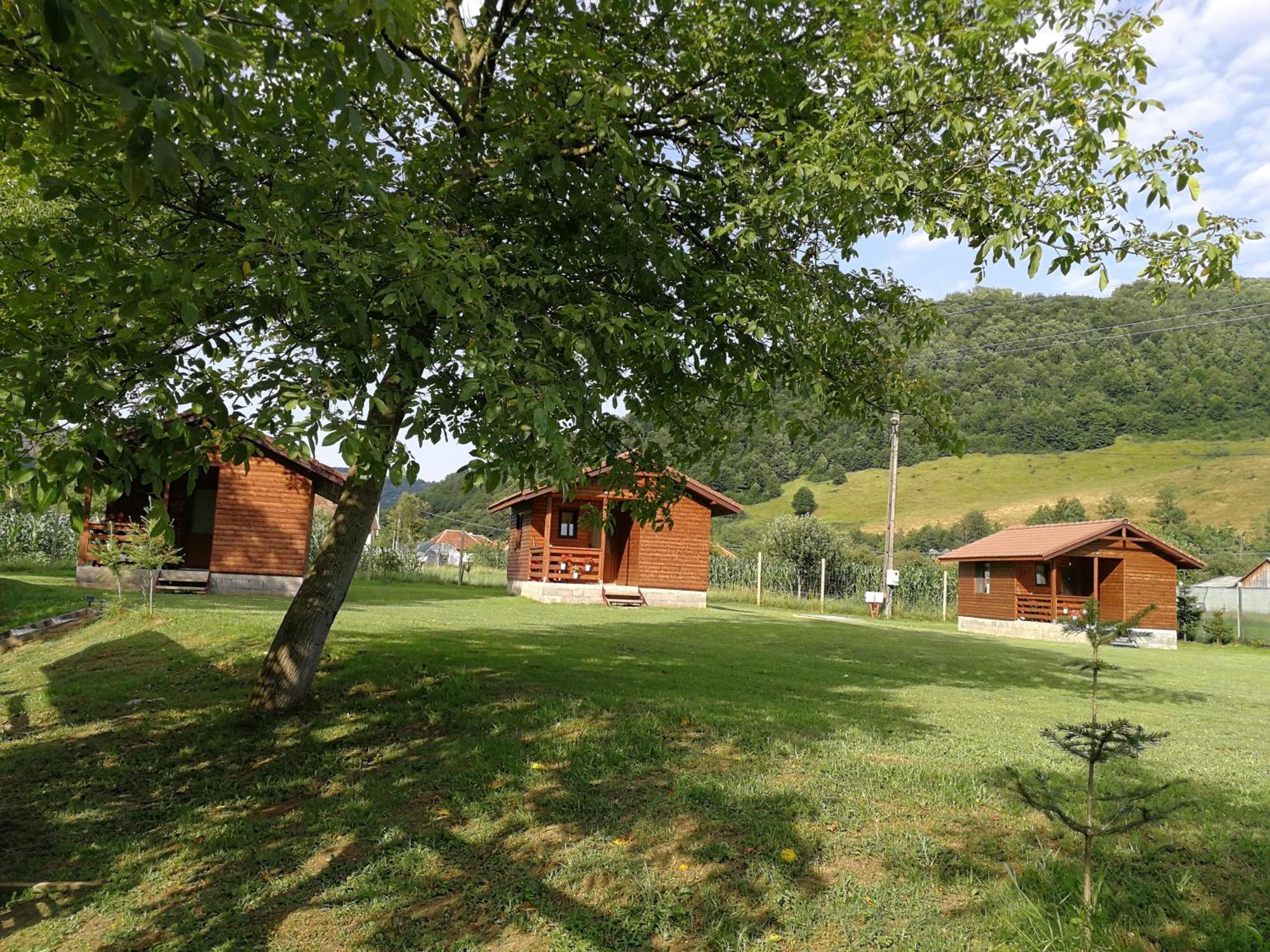 Casute Zavoi Bulz Villa Exterior photo