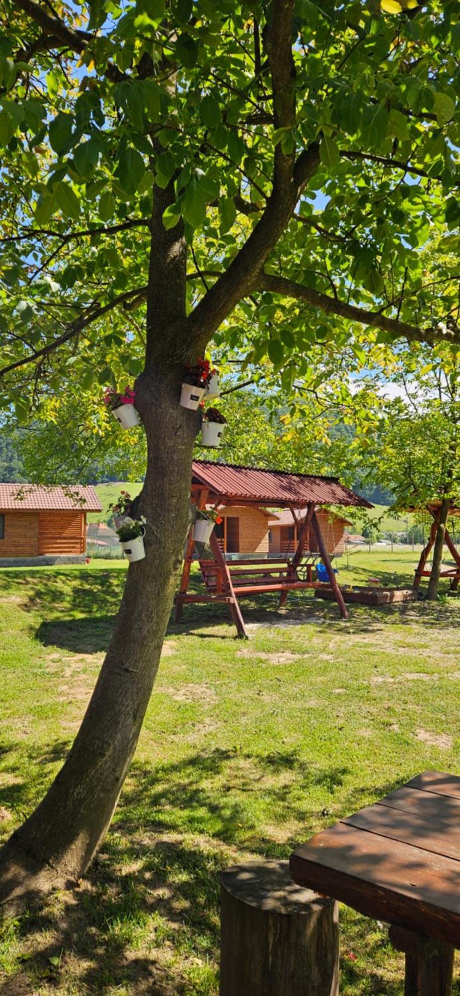 Casute Zavoi Bulz Villa Exterior photo